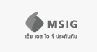 MSIG